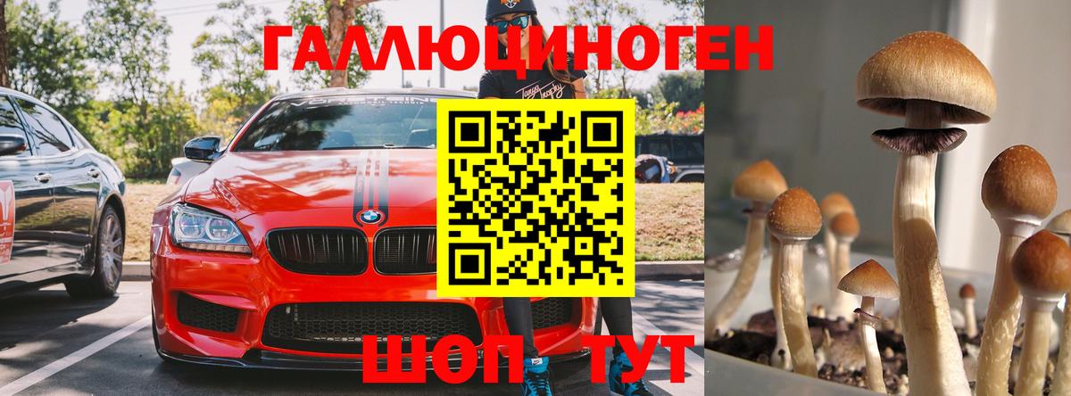 Псилоцибиновые грибы GOLDEN TEACHER Великий Устюг